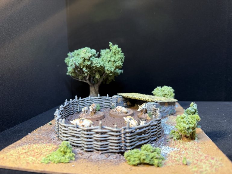 Pig Pen and Chicken Coop