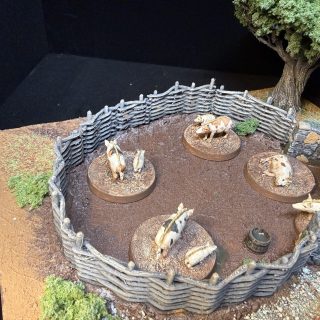 Pig Pen and Chicken Coop