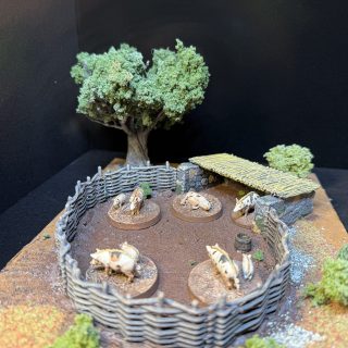 Pig Pen and Chicken Coop