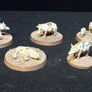 Pig Pen and Chicken Coop