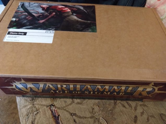 Skaven Army Completed