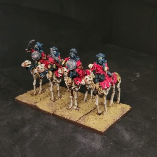 Dry corpse camelry of the south