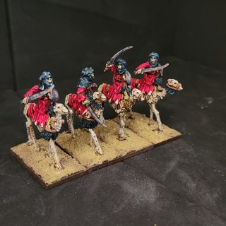 Dry corpse camelry of the south