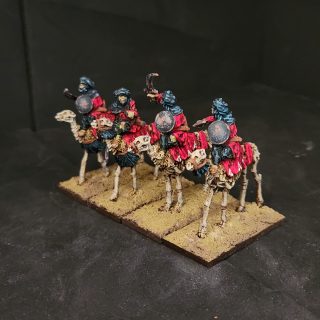 Dry corpse camelry of the south