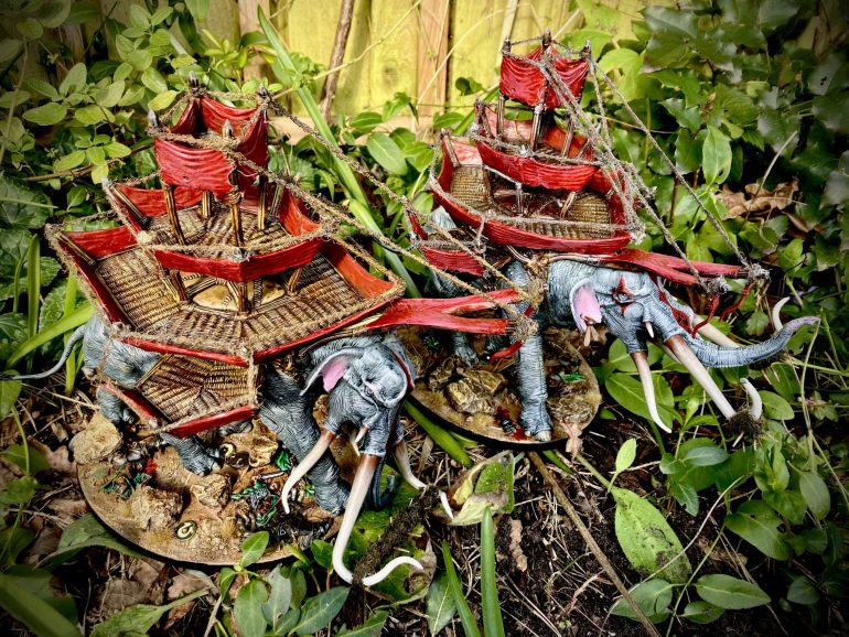 Mumaks in their habitat