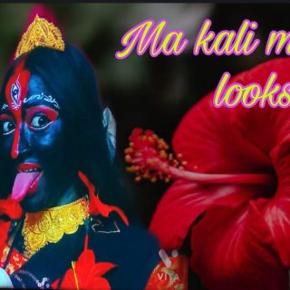 Blue is not the warmest color