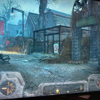 Starting Safari Adventure