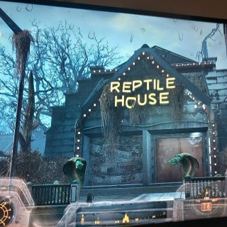 Starting Safari Adventure