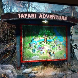 Starting Safari Adventure