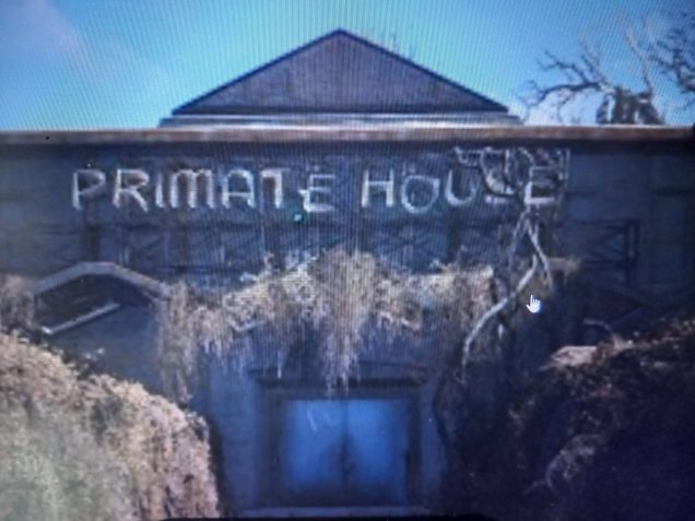 I wanted to create the primate house so I had a unique building on the table so we know it's the safari adventure zone.