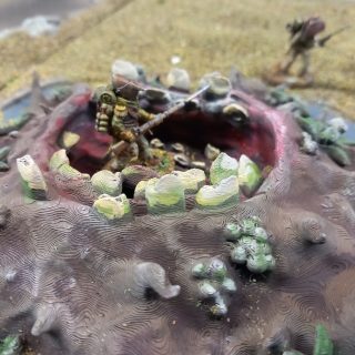 Dangerous terrain. Turnip style