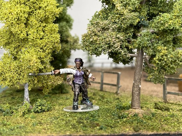 The wandering loner - Michonne