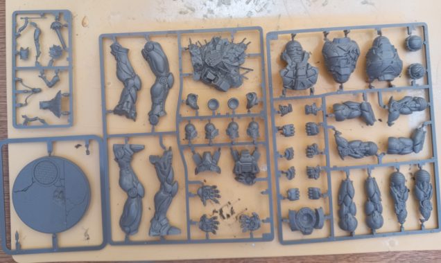 Cassandra Nova & the Mk4 Prime