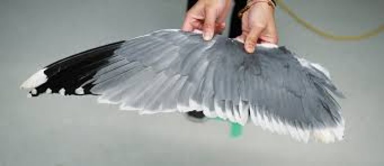 Elwing's Elven Guard Cavalry