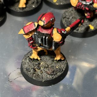 Dressed & ready to party…