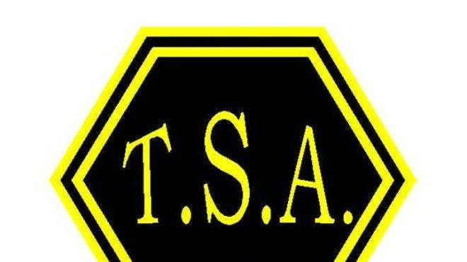 Tin Soldiers of Antwerp