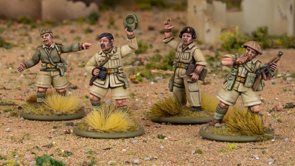 Grab World War II North Africa Commanders For Allies & Axis