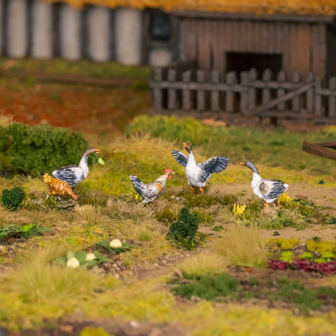 Chicken & Geese - Victrix Miniatures