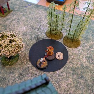 Battle Report No. 14