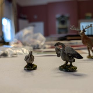 Extra pics from the game
