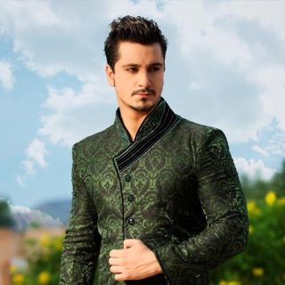 The beauty of brocade