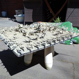 All build and primed