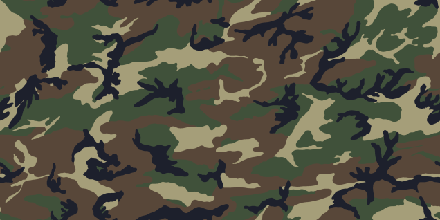 Abraham and woodland camo