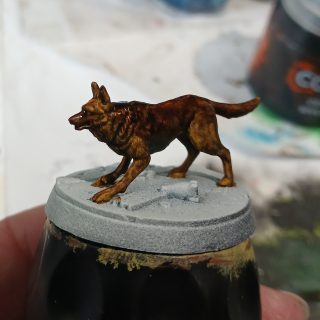 Dogmeat, the best boy/girl 😊