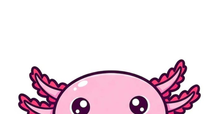 Axolotl problems