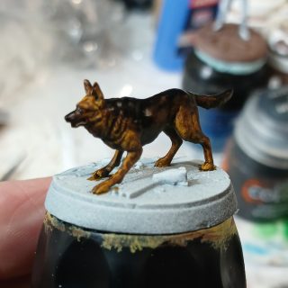 Dogmeat, the best boy/girl 😊
