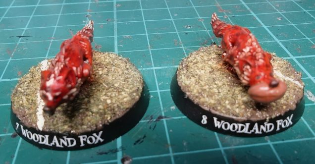 In the words of the classic 70s Glam Rockers it a 'Fox on the run', or two.  Not exactly happy with these but they are good enough for the team. 