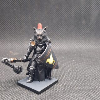 Dungeon crawling cat