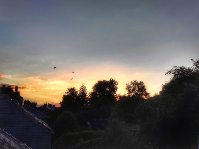 The Dawn of Summer