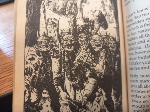 I didn't enjoy this book as an adult as much as 12 year old me. The army idea is good but could have been used more and the story goes a bit flat near the end but I liked the continuation of the trial of champions 