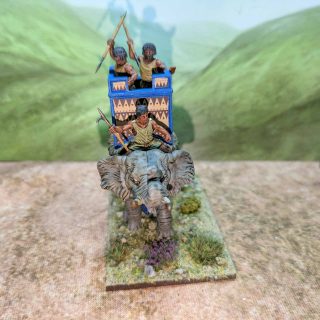 Last of the Pachyderms