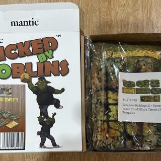 Accessories Review: Game Mat and 2D Terrain