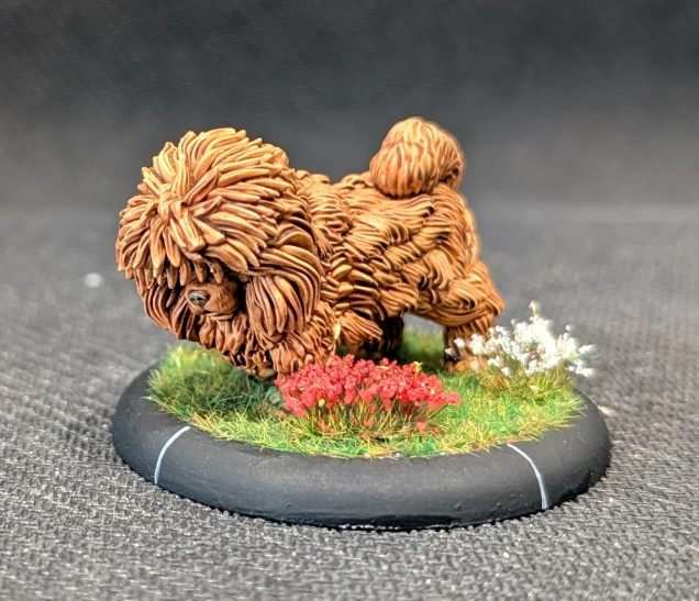 Byiba, a massive shaggy dog