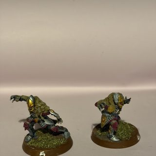 The high elves
