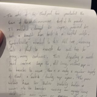 Some snippets from the campaign leading up to the siege.