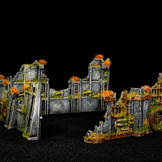 What Overgrown Zone Volkus Look Like