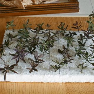Making Vegetation