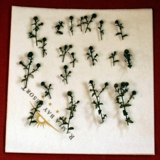 Making Vegetation