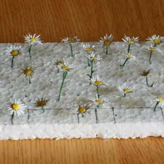 Making Vegetation