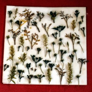 Making Vegetation