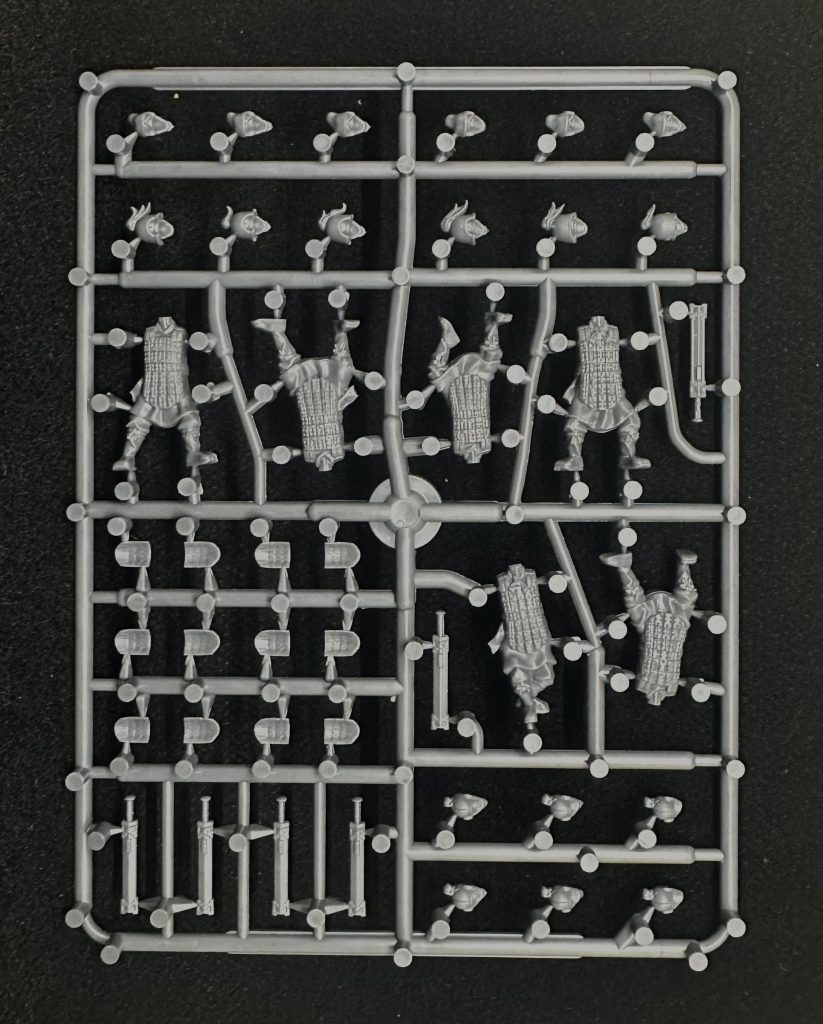 Warring States Armored Back