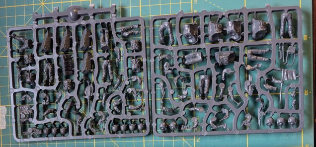 Lunar Sprue