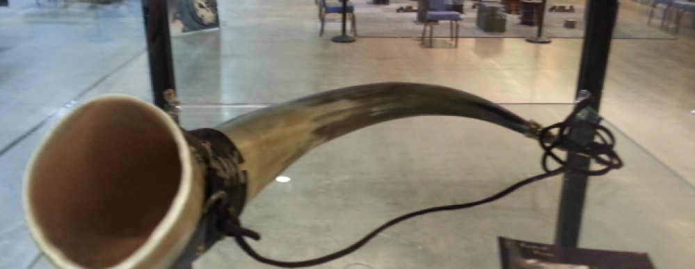 Viking Drinking Horn!