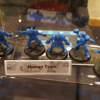 The Coloured Plastics For Blood Bowl