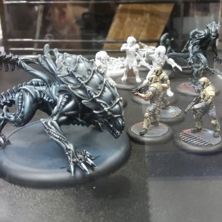 Ninja Division Shows Off Some Killer AVP Painted Minis