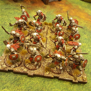The Army Painter Method – A Finished Waiqar Force